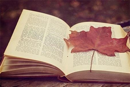 大学老师需要考山东教师资格证吗？